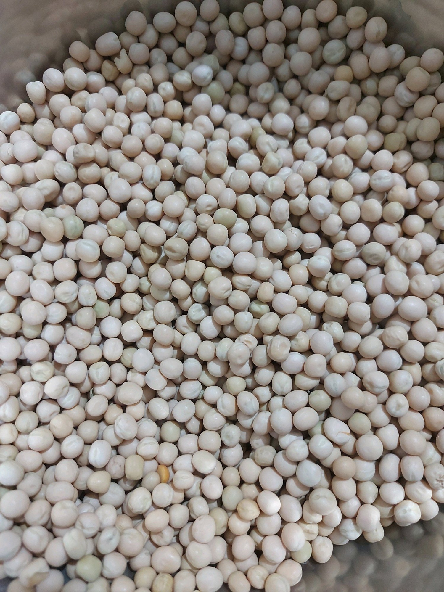 WHITE PEA (Imported)